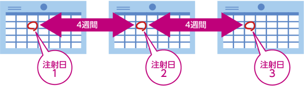 投与スケジュール