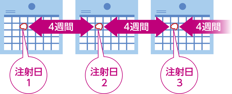 投与スケジュール